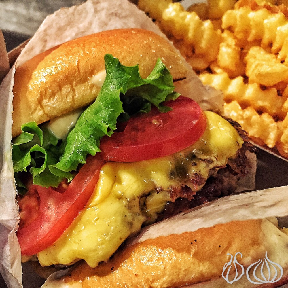 shake-shack-new-york-madison-square292015-07-23-01-34-05