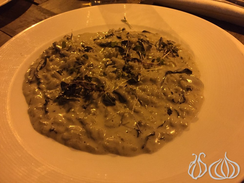 tarallucci-vino-italian-restaurant-new-york82015-12-01-09-30-02