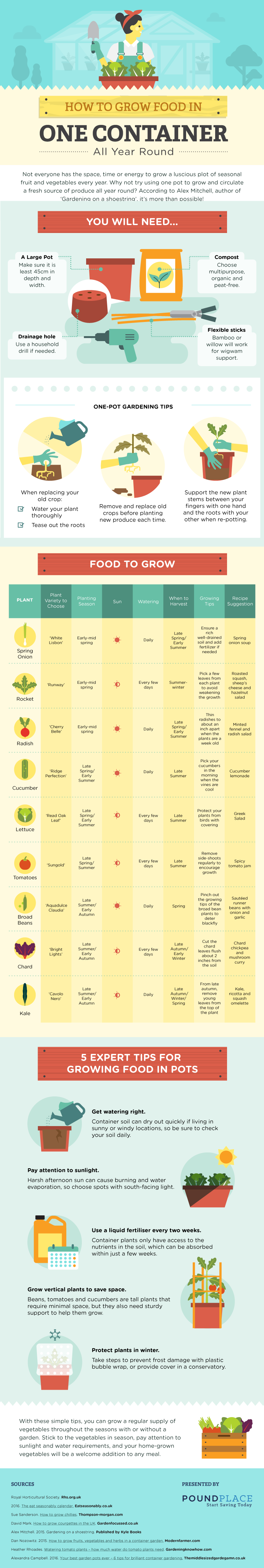 DV5-How-to-grow-food-in-one-container-all-year-round-1