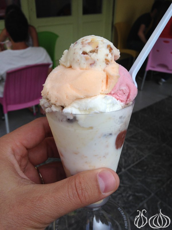 Helado_Ice_Cream_Sahel_Alma6