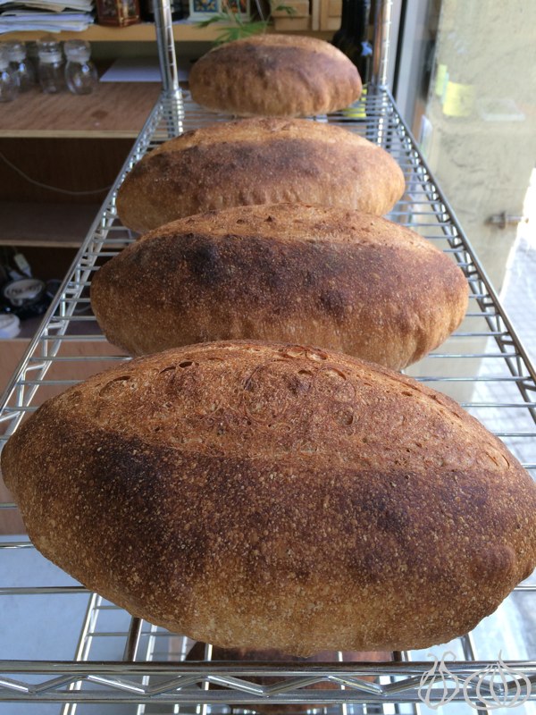 Roger_le_Boulanger_Achrafieh_Beirut_Organic_Bread34